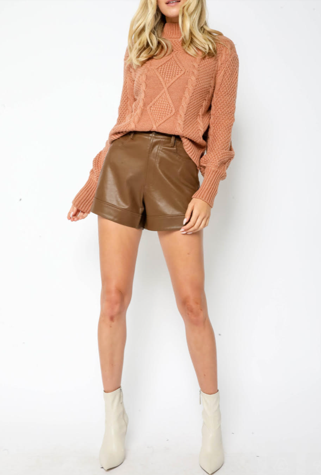 The Gibby High Waist Faux Leather Shorts