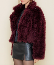 Load image into Gallery viewer, Collared Fur Cropped Coat