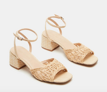 Load image into Gallery viewer, Ankle Strap Woven Block Heel