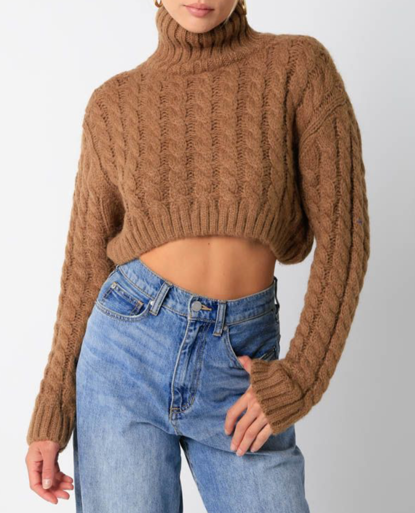 Cropped Turtleneck Cable Knit Sweater