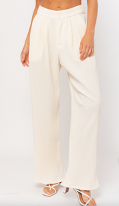 Wide Leg Pleated Pants