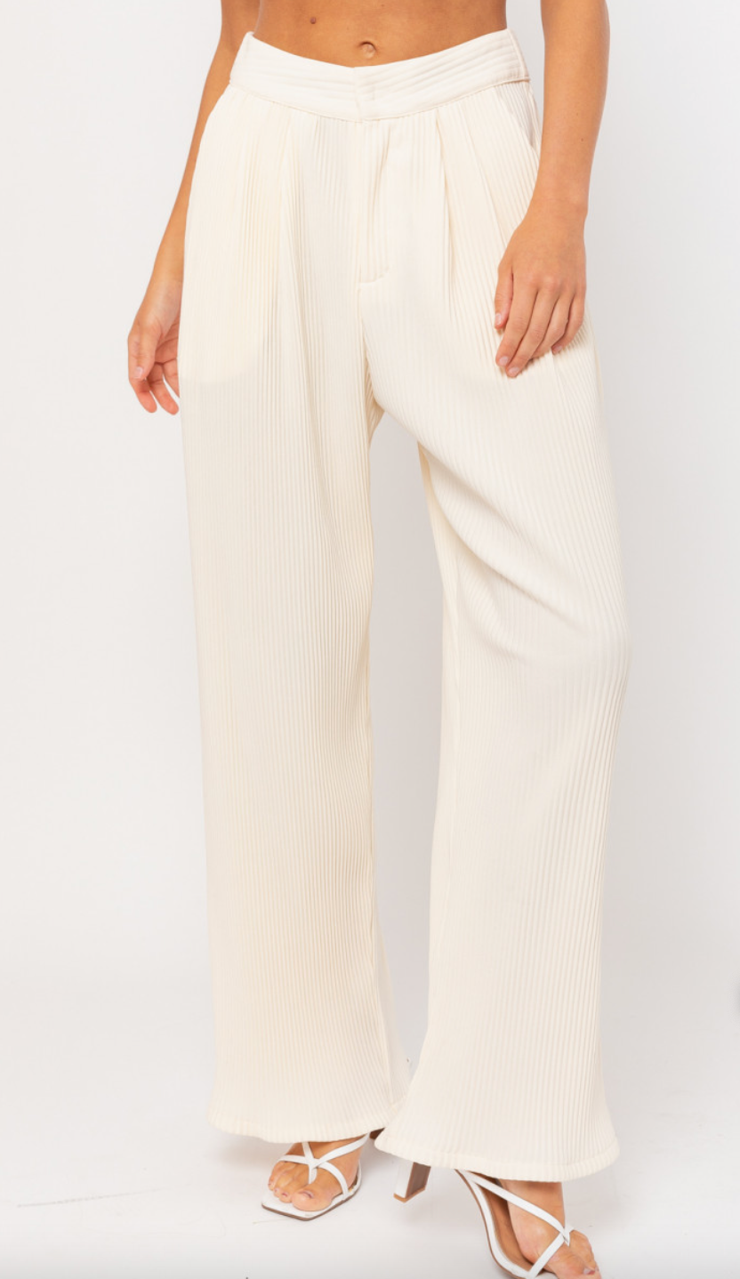 Wide Leg Pleated Pants