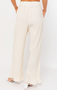 Wide Leg Pleated Pants
