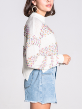 Load image into Gallery viewer, Crew Neck Confetti Sweater